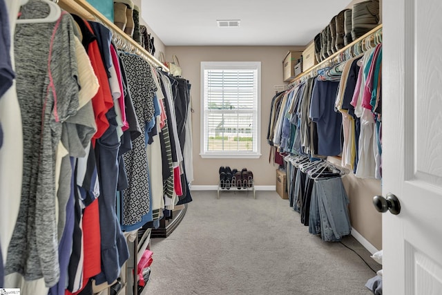 112 Friesian Ct, Pelzer, SC 29669 - walk in closet featuring carpet floors