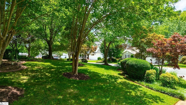 14 Quail Meadow Ln, Greenville, SC 29617 - view of grassy yard