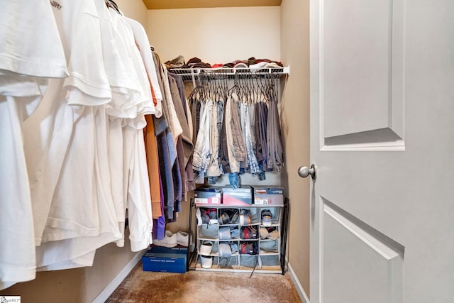 102 Tea Leaf Ct, Anderson, SC 29626 - walk in closet with carpet floors