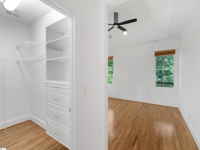 1 Touch Me Not Trl, Landrum, SC 29356 - walk in closet with light wood-style flooring and a ceiling fan
