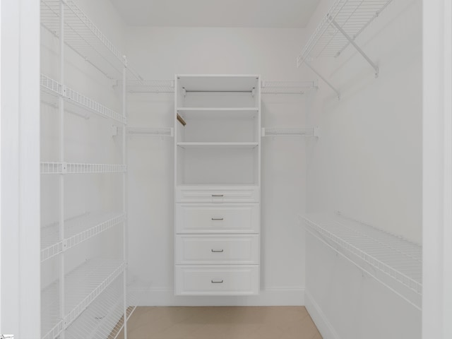 1 Touch Me Not Trl, Landrum, SC 29356 - view of walk in closet