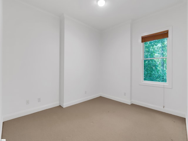 1 Touch Me Not Trl, Landrum, SC 29356 - empty room with crown molding and light carpet