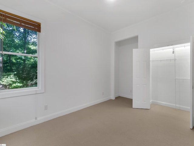 1 Touch Me Not Trl, Landrum, SC 29356 - unfurnished bedroom with light carpet, multiple windows, crown molding, and a closet