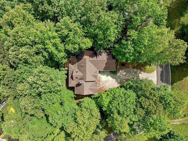 1 Touch Me Not Trl, Landrum, SC 29356 - view of subject property