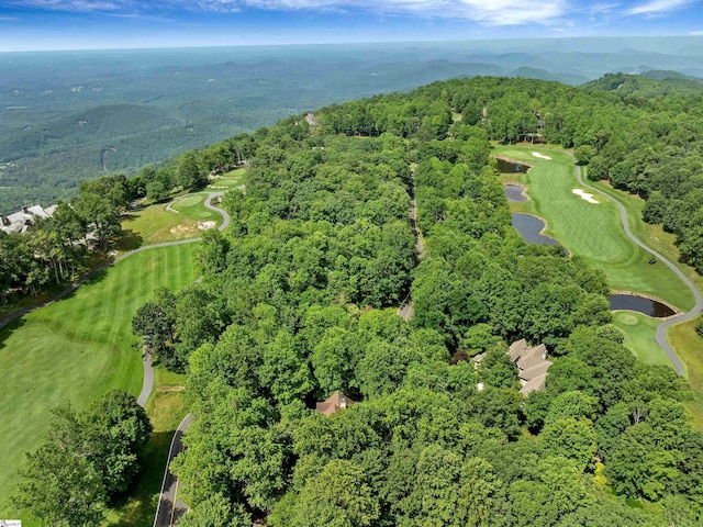 1 Touch Me Not Trl, Landrum, SC 29356 - aerial view of property's location featuring a nearby body of water and a golf course
