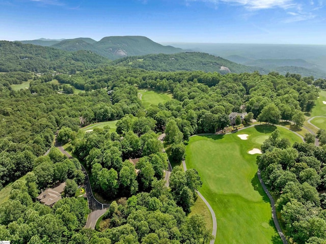 1 Touch Me Not Trl, Landrum, SC 29356 - drone / aerial view of a golf course and a mountainous background