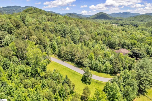 6 Foxboro Rd, Travelers Rest, SC 29690