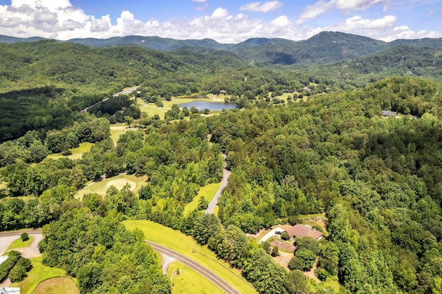 6 Foxboro Rd, Travelers Rest, SC 29690