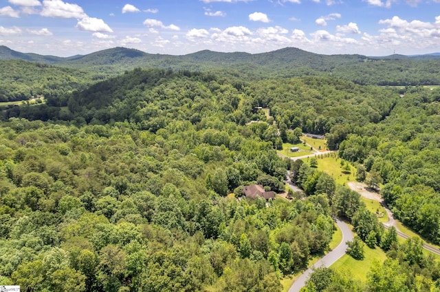 6 Foxboro Rd, Travelers Rest, SC 29690