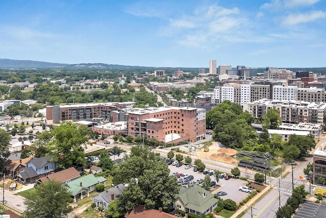 110 N Markley St Unit 505, Greenville, SC 29601 - view of urban area