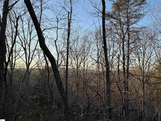 4B Piper Ln, Pickens, SC 29671