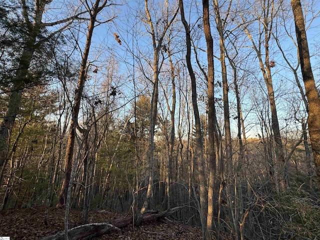 4B Piper Ln, Pickens, SC 29671