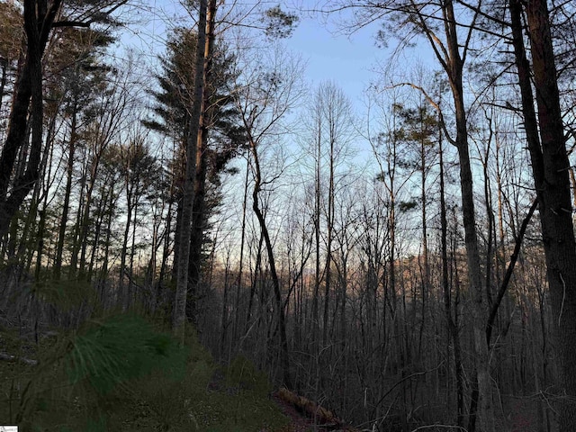 4B Piper Ln, Pickens, SC 29671