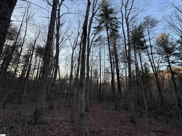4B Piper Ln, Pickens, SC 29671