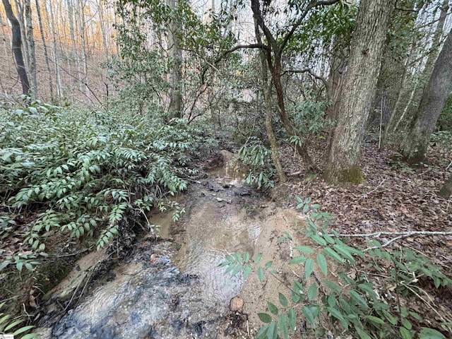 4B Piper Ln, Pickens, SC 29671
