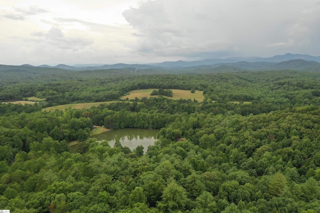 4B Piper Ln, Pickens, SC 29671
