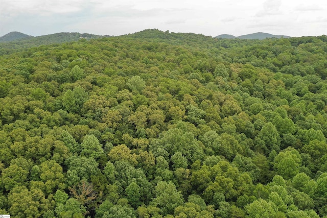 4B Piper Ln, Pickens, SC 29671