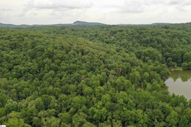 4B Piper Ln, Pickens, SC 29671