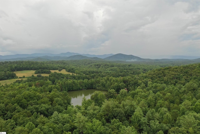 4B Piper Ln, Pickens, SC 29671