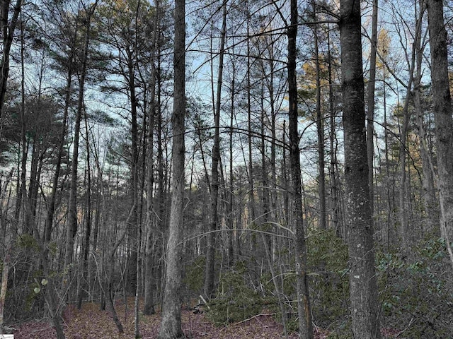 4B Piper Ln, Pickens, SC 29671