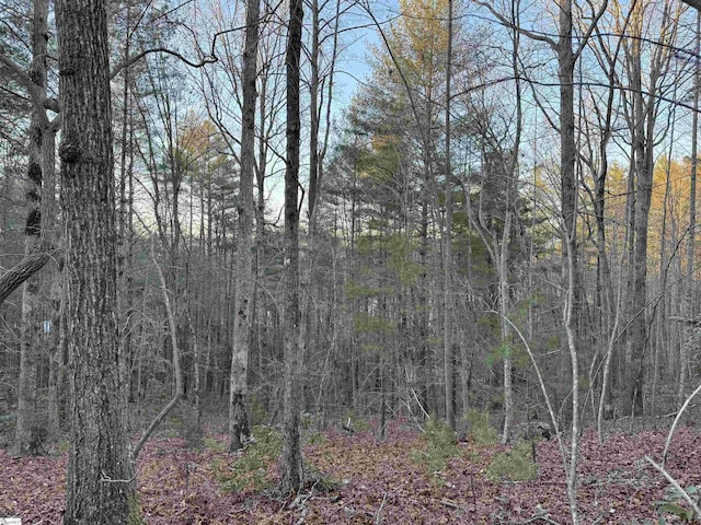 4B Piper Ln, Pickens, SC 29671