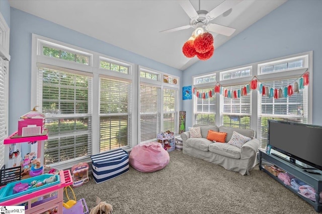 2 Willow Oak Ct, Simpsonville, SC 29681 - sunroom / solarium with vaulted ceiling and carpet