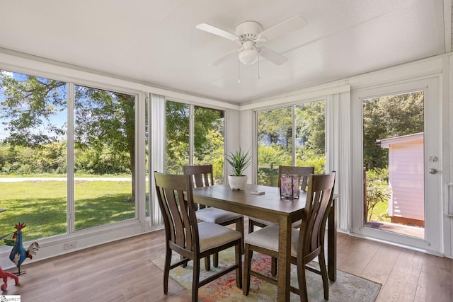 1170 Return Church Rd, Seneca, SC 29678 - sunroom / solarium featuring healthy amount of natural light and wood finished floors