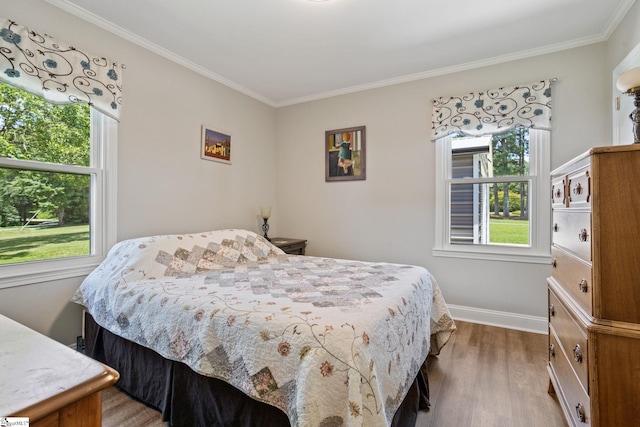 1170 Return Church Rd, Seneca, SC 29678 - bedroom featuring multiple windows, wood finished floors, and crown molding