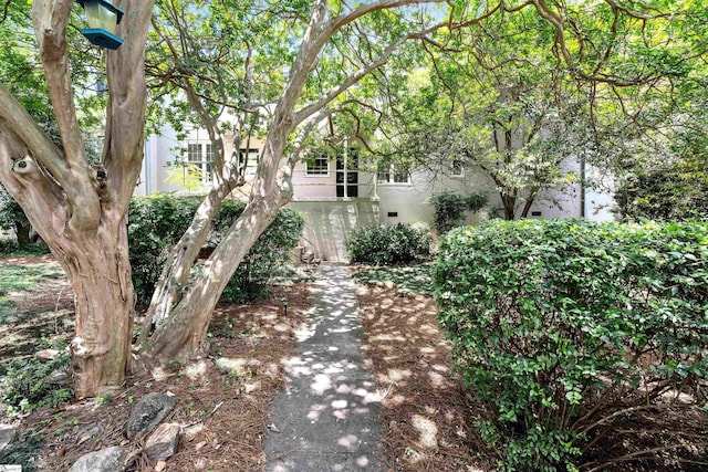 601 Cleveland St Unit 3A, Greenville, SC 29601 - view of yard