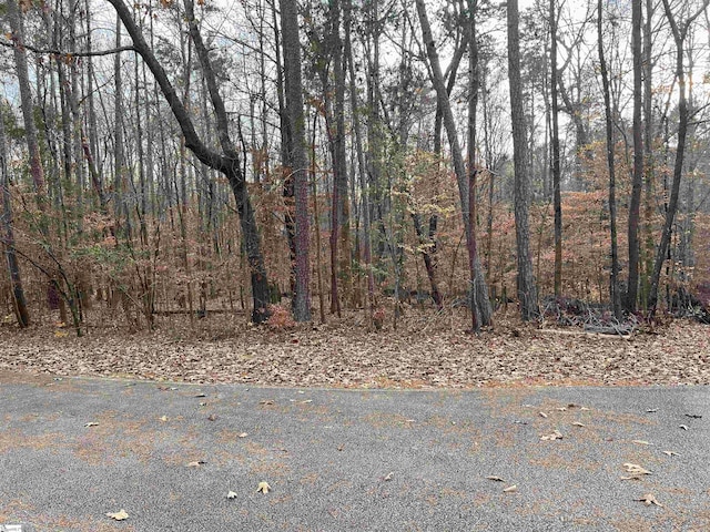 205 Apricot Ln, Westminster, SC 29672