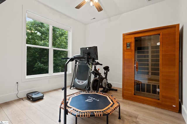 421 Lynn Rd, Taylors, SC 29687 - exercise room with ceiling fan, light wood finished floors, and a sauna