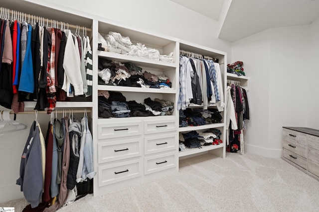 421 Lynn Rd, Taylors, SC 29687 - spacious closet with carpet flooring