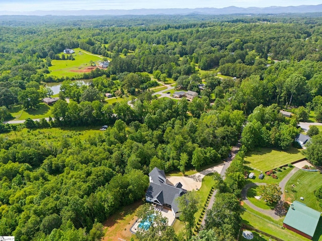 421 Lynn Rd, Taylors, SC 29687 - aerial view of a forest