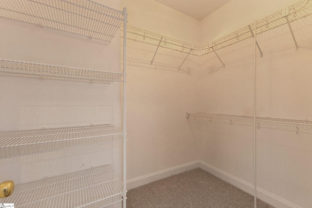 10 Parkcrest Ct, Simpsonville, SC 29681 - spacious closet with carpet flooring