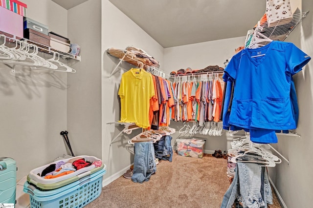 112 Cameron Creek Ln, Simpsonville, SC 29681 - walk in closet with carpet flooring