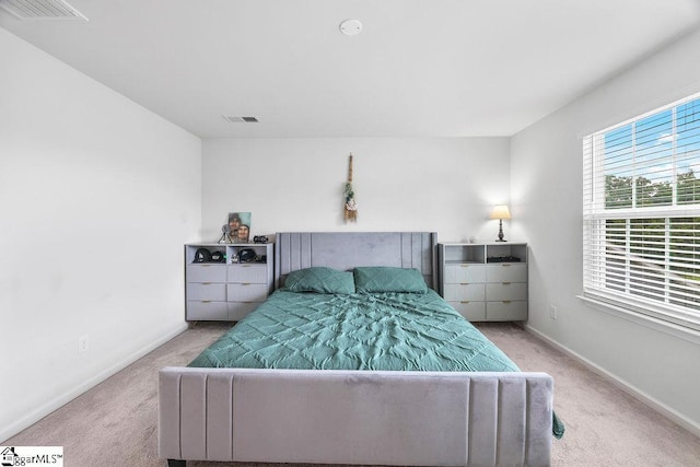 202 Huron Way, Greenville, SC 29607 - bedroom with carpet floors
