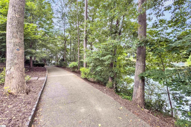 155 Village Point Dr, Sunset, SC 29685 - view of property's community