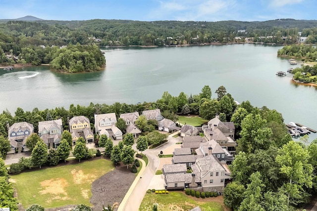 155 Village Point Dr, Sunset, SC 29685 - aerial view of residential area featuring a nearby body of water