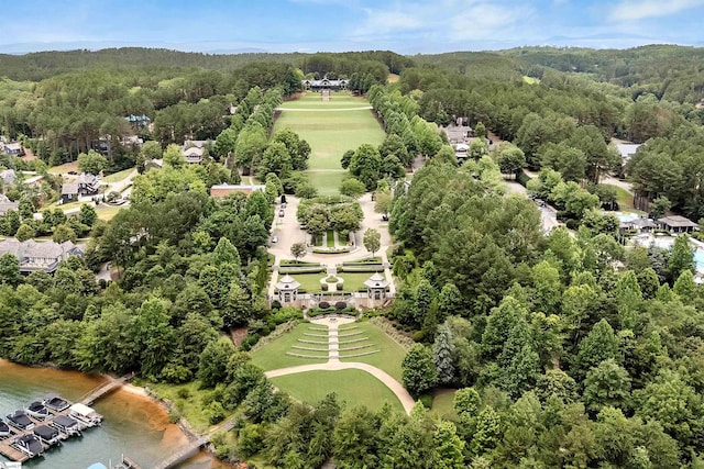 155 Village Point Dr, Sunset, SC 29685 - aerial view of a forest and a nearby body of water