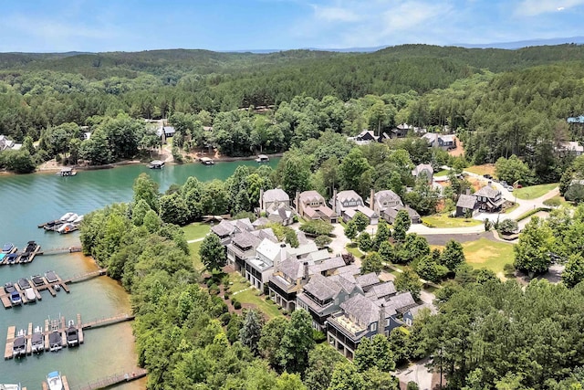 155 Village Point Dr, Sunset, SC 29685 - drone / aerial view of a heavily wooded area and a nearby body of water