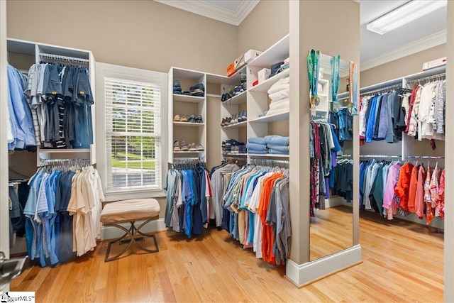 112 Griffith Hill Way, Greer, SC 29650 - walk in closet with wood finished floors
