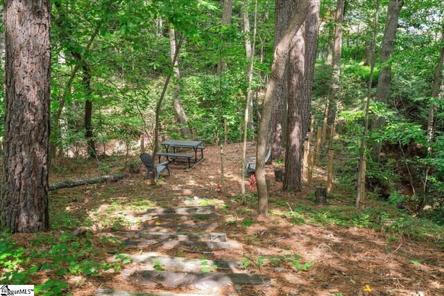 112 Griffith Hill Way, Greer, SC 29650 - view of yard with a view of trees