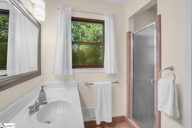 502 Sugar Valley Ct, Greer, SC 29650 - bathroom with healthy amount of natural light, a stall shower, and vanity