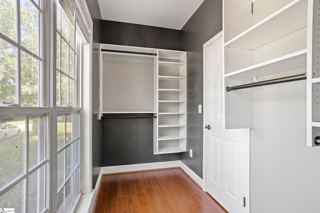 802 Wheat Ct, Greer, SC 29651 - spacious closet with wood finished floors