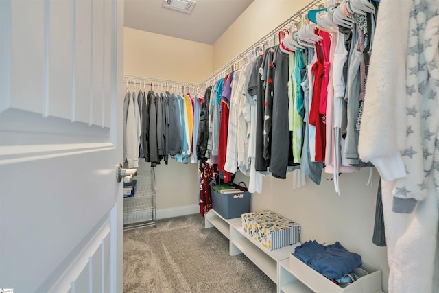 402 Birchbark Ln, Lyman, SC 29365 - walk in closet with carpet floors