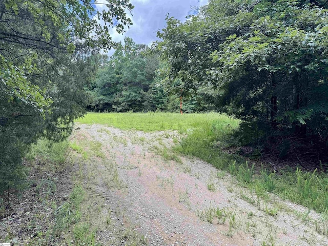 1608 Saint Philips Church Rd, Prosperity, SC 29127
