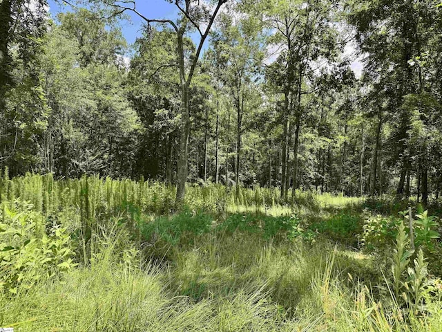 1608 Saint Philips Church Rd, Prosperity, SC 29127