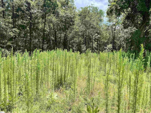 1608 Saint Philips Church Rd, Prosperity, SC 29127