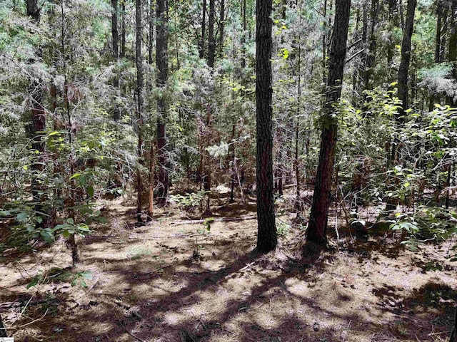 1608 Saint Philips Church Rd, Prosperity, SC 29127