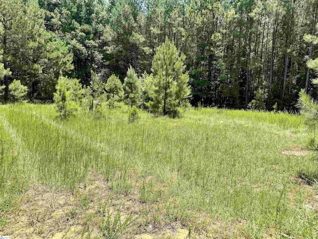 1608 Saint Philips Church Rd, Prosperity, SC 29127